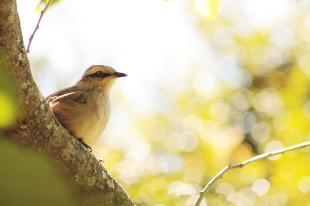 Photograph by Ricardo Venerando