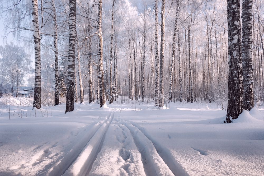 Photograph by Вениамин Кожинов