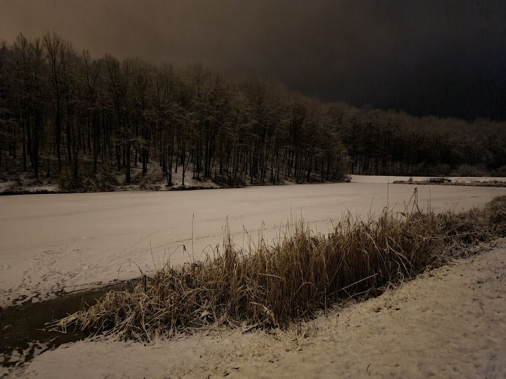 Photograph by Лариса