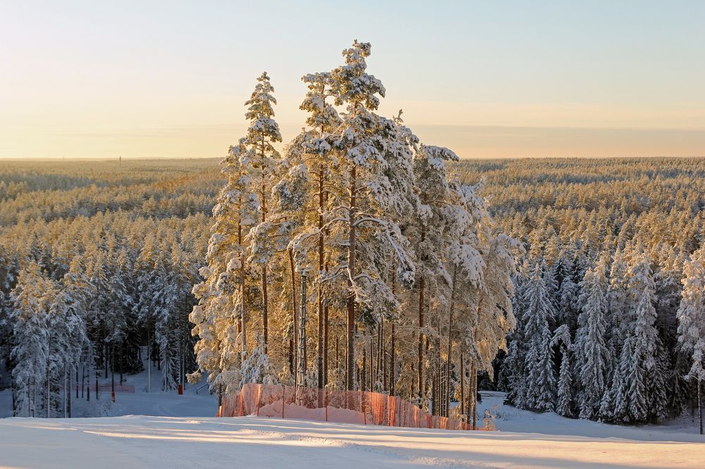 Photograph by Сергей Иванов