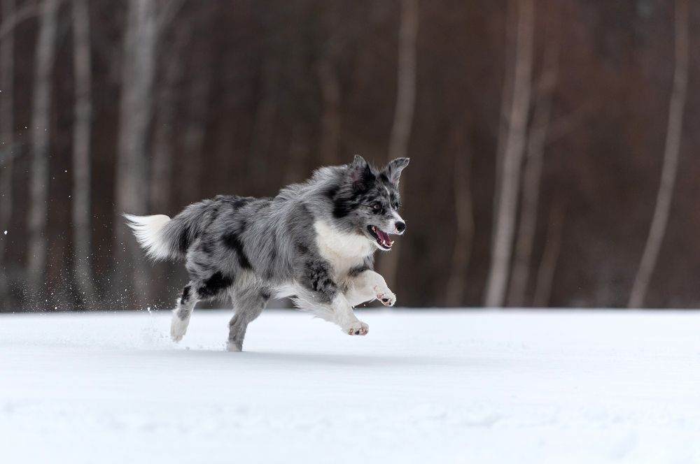 Photograph by Алина Сулейманова