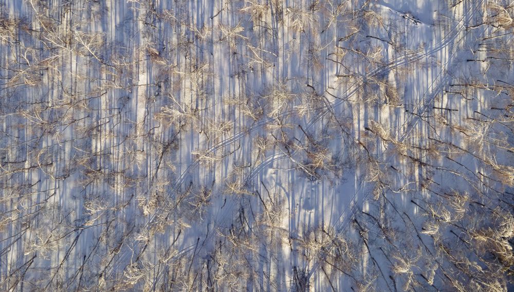 В мире пересечений..