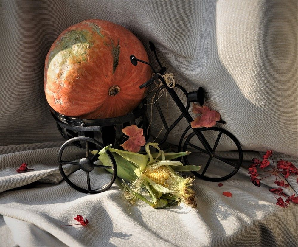 Photograph by Юлия Лис-а