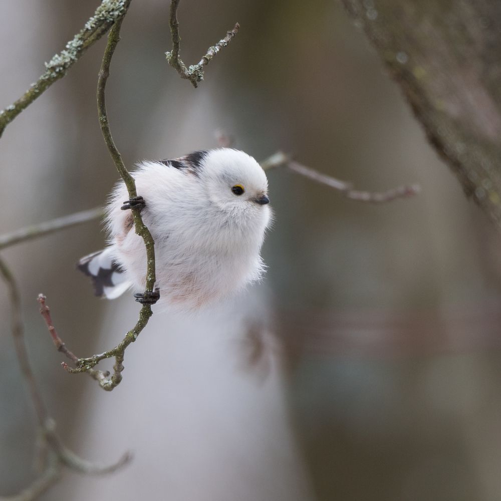 Photograph by Антон Мостовенко