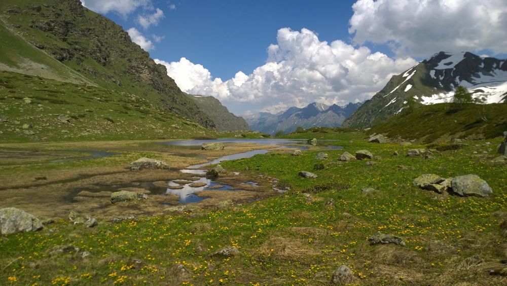 В Верховьях Бадукского ущелья, КЧР