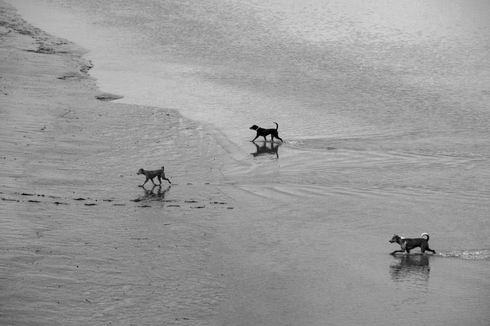 Photograph by Bishnu Goenka