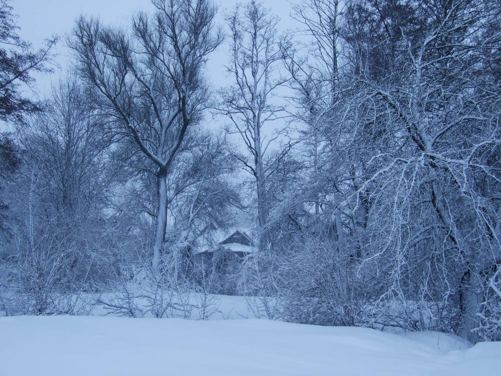 Photo #5856537