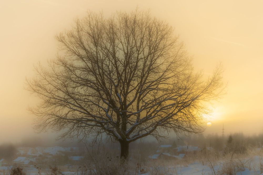 Замороженный рассвет