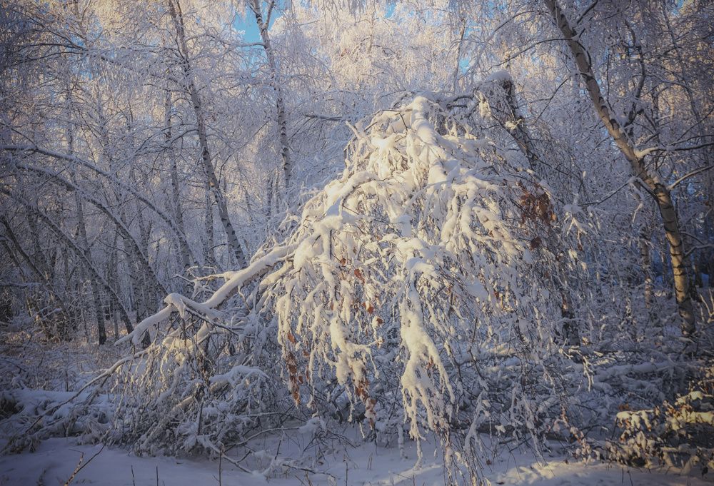 Photograph by Максим Подосинников