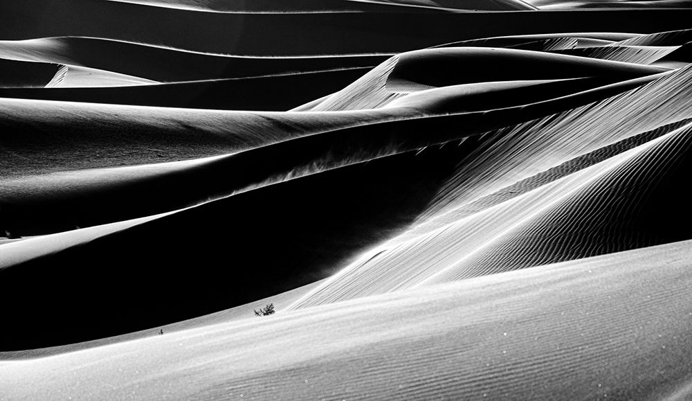 Фотография автора hadis sharifii