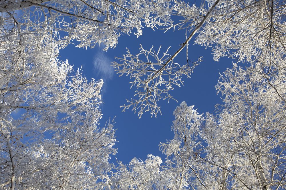 Photograph by Максим Подосинников