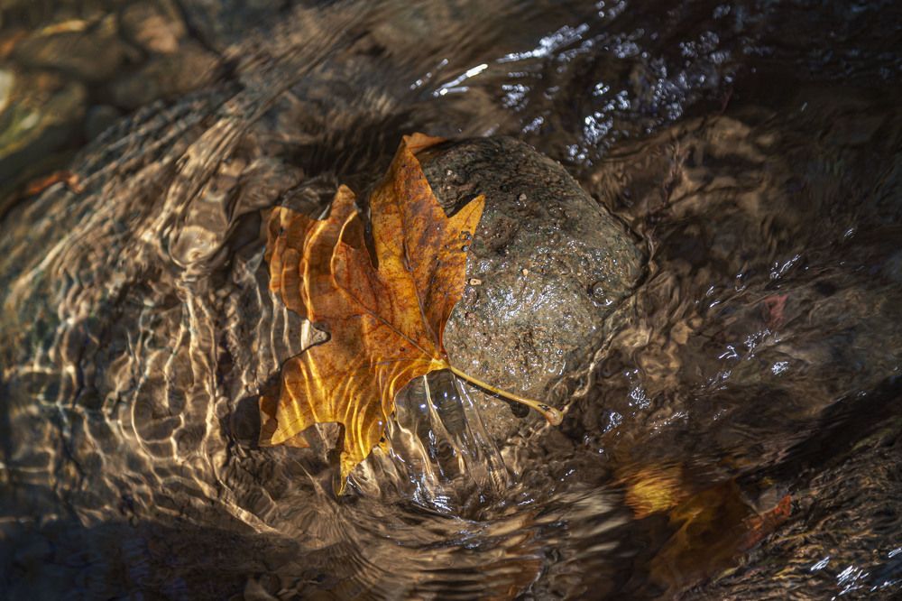Photograph by Владимир Бутов