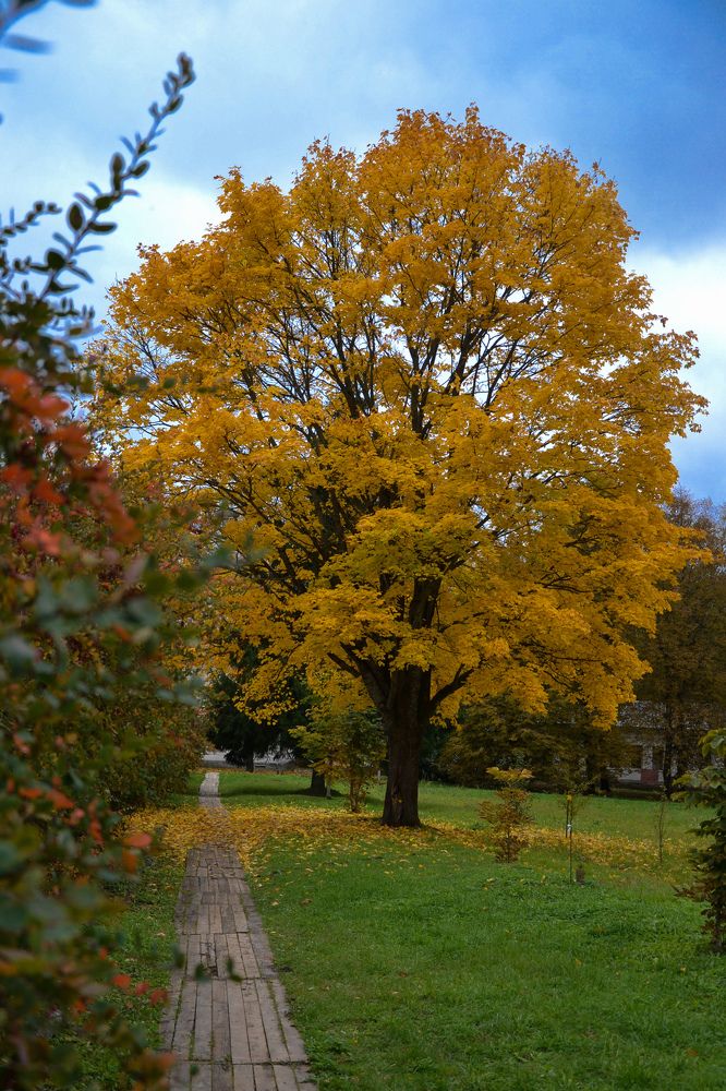 Photograph by Ольга Новоселова