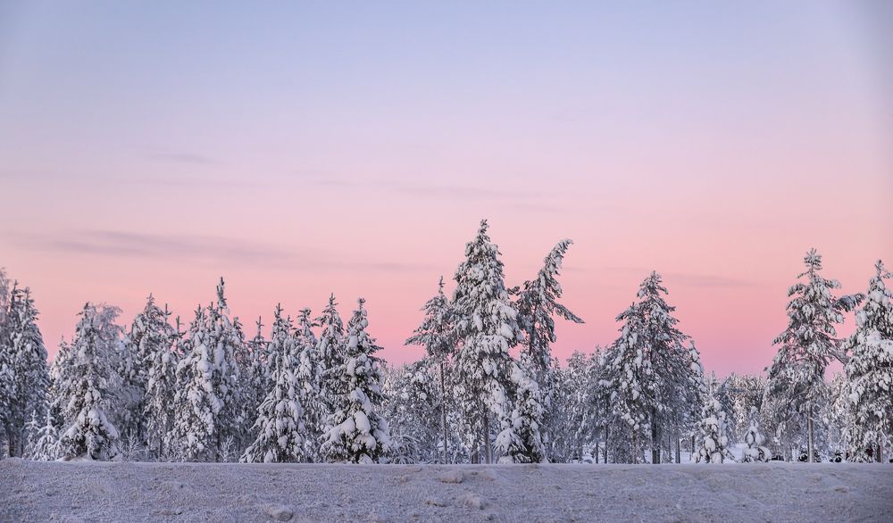 Photograph by Сергей Крюков