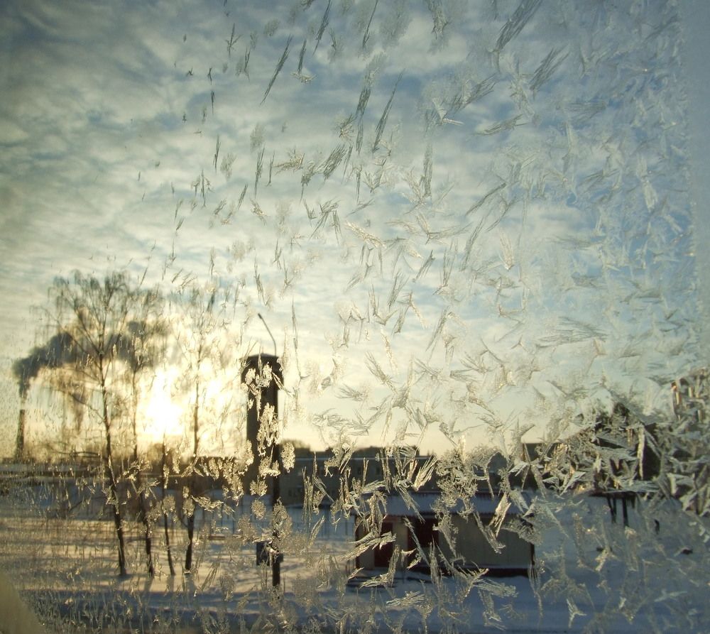 Photo #5856784