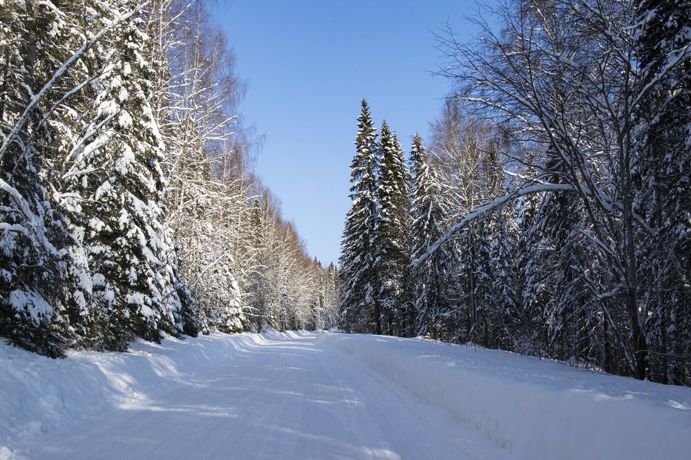 Photograph by Надежда Дорошенко