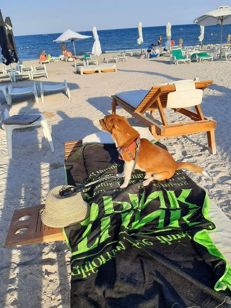 Photograph by Raileanu Armand