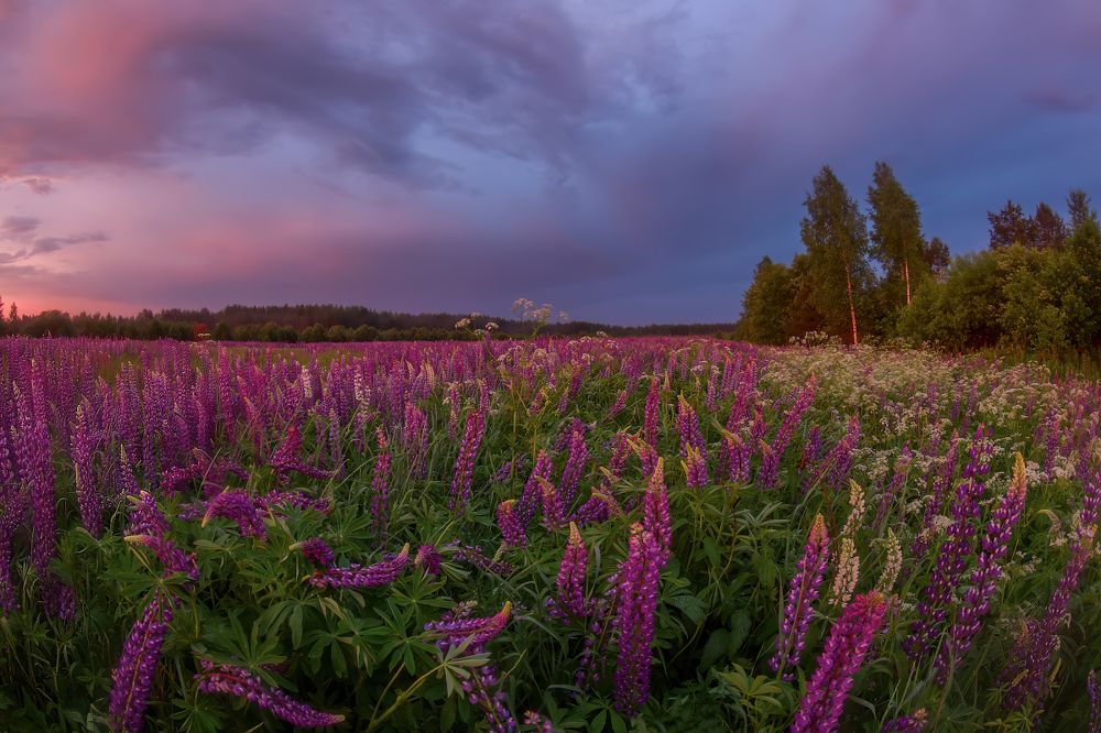 Photograph by Марина Мурашова