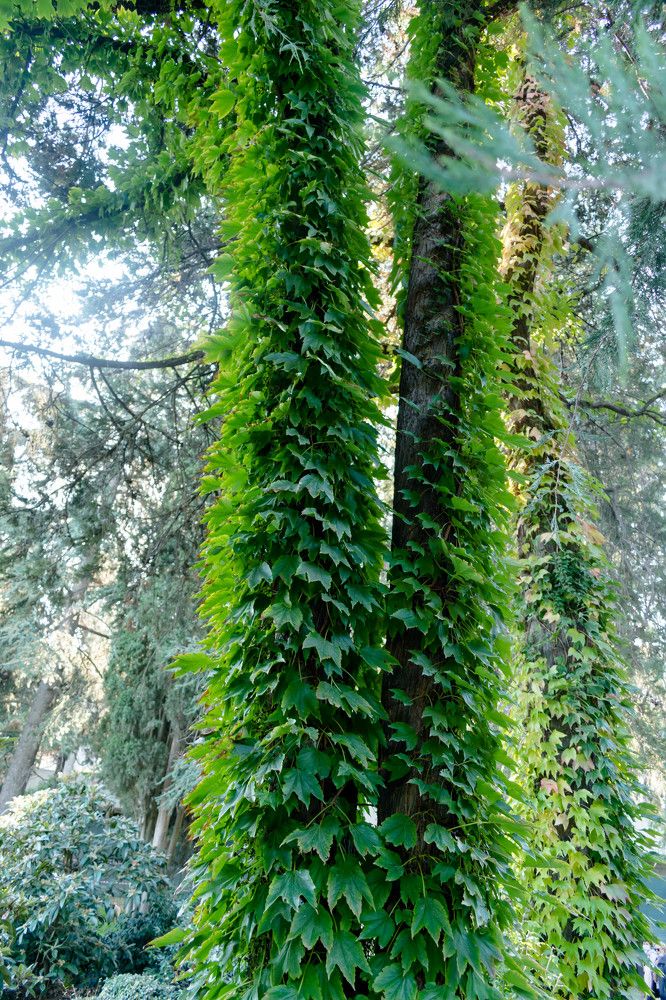 Photograph by Наталья Вялых