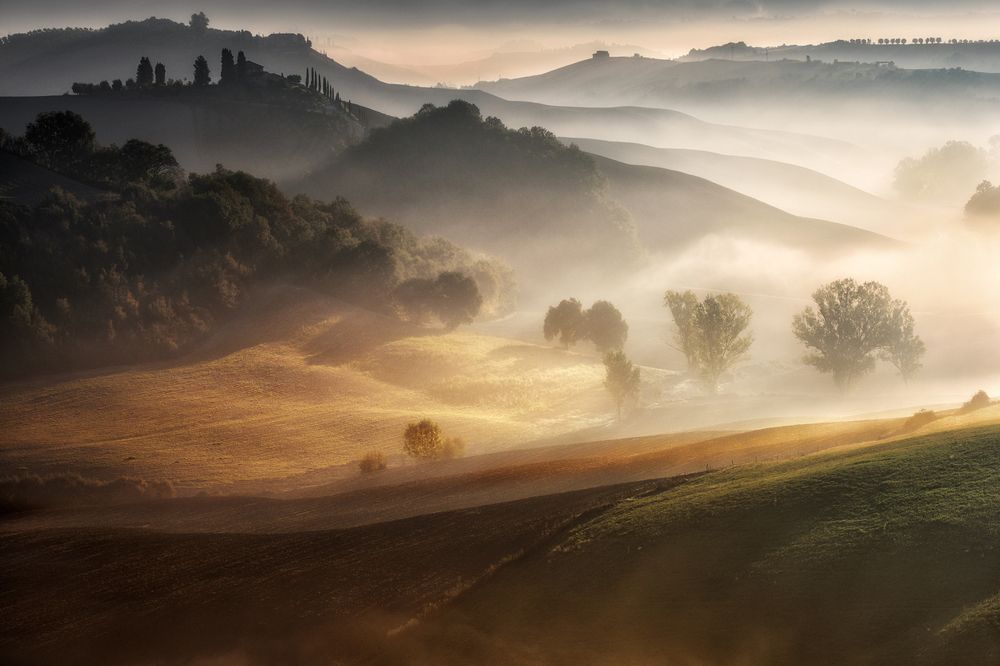 AUTUMNAL SCENT OF MEMORIES