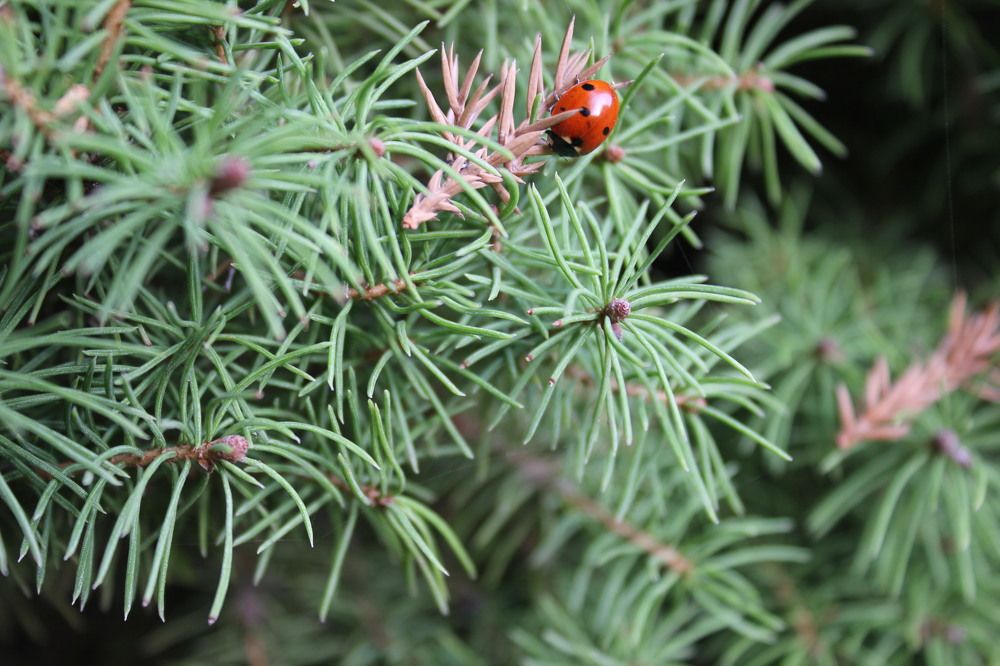 Photograph by Алексей Ролин