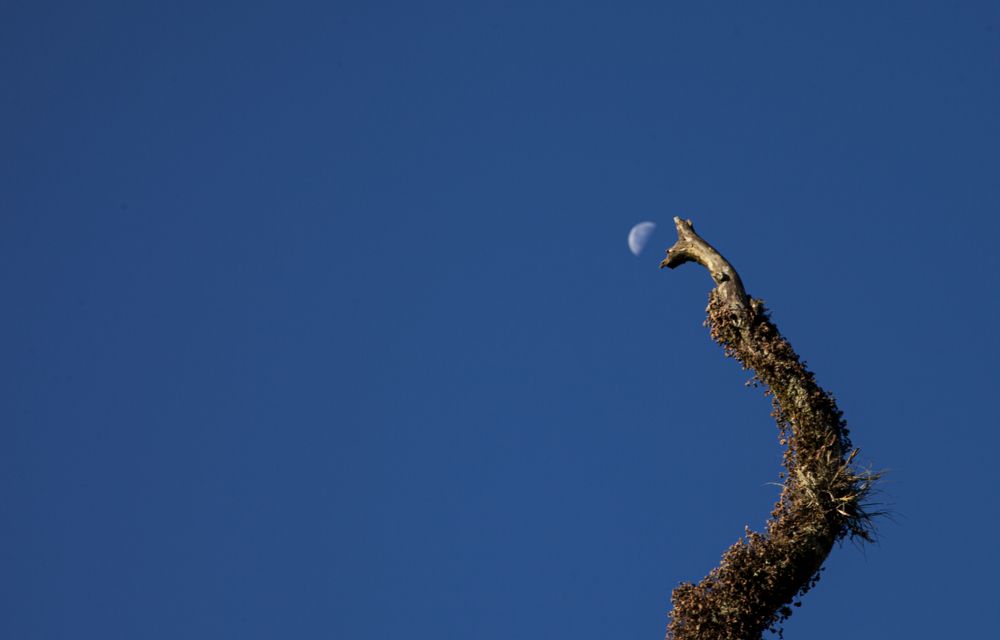 Photograph by Jorge Muñoz