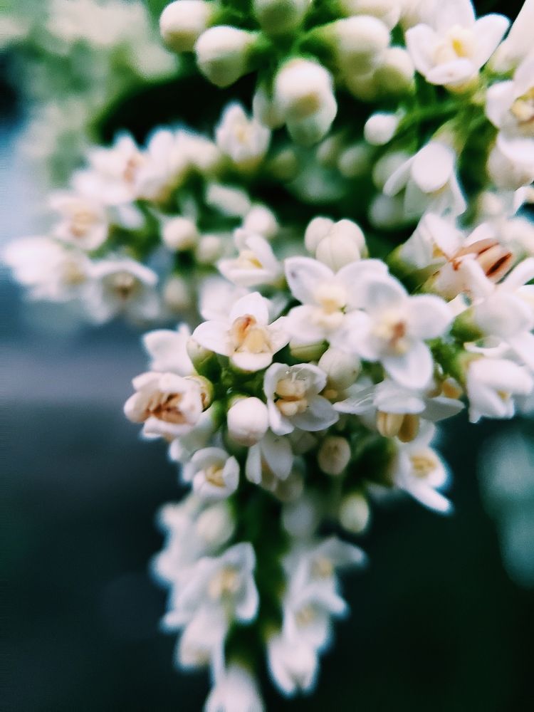 Photograph by Ирина Панкова