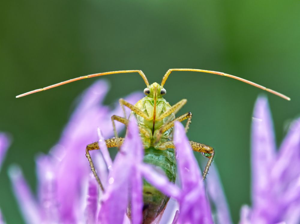 Photograph by Глебов Максим