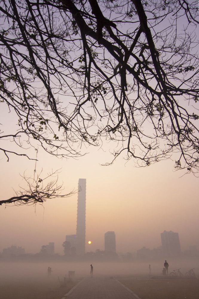 A foggy Sunrise of winter morning