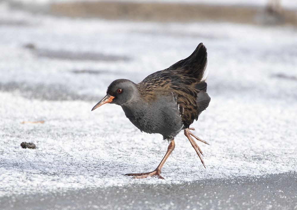 Photograph by Светлана Барабанщикова