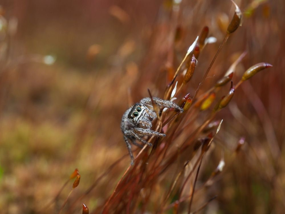 Photograph by Максим Кошелев
