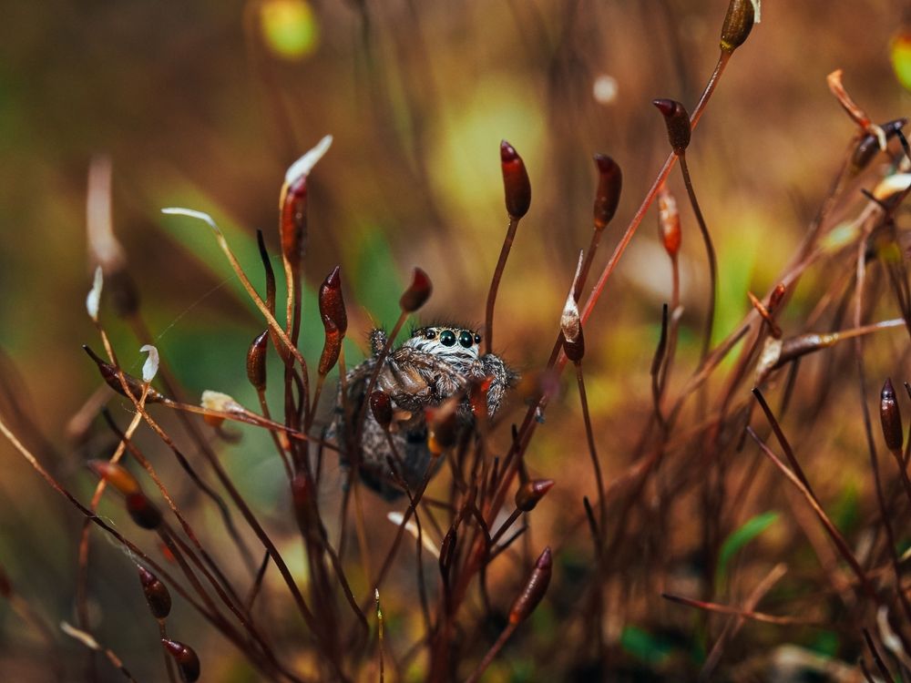 Photograph by Максим Кошелев