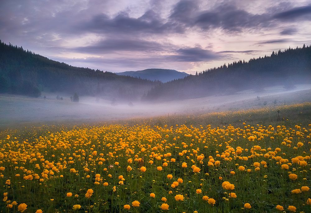 Photograph by Svetoslav Georgiev