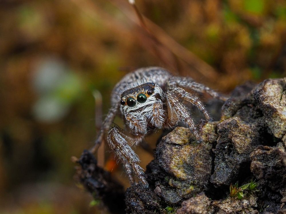 Photograph by Максим Кошелев