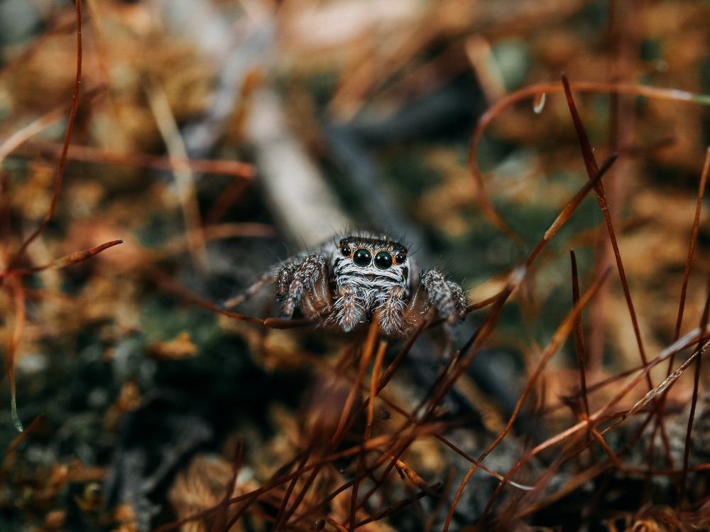 Photograph by Максим Кошелев