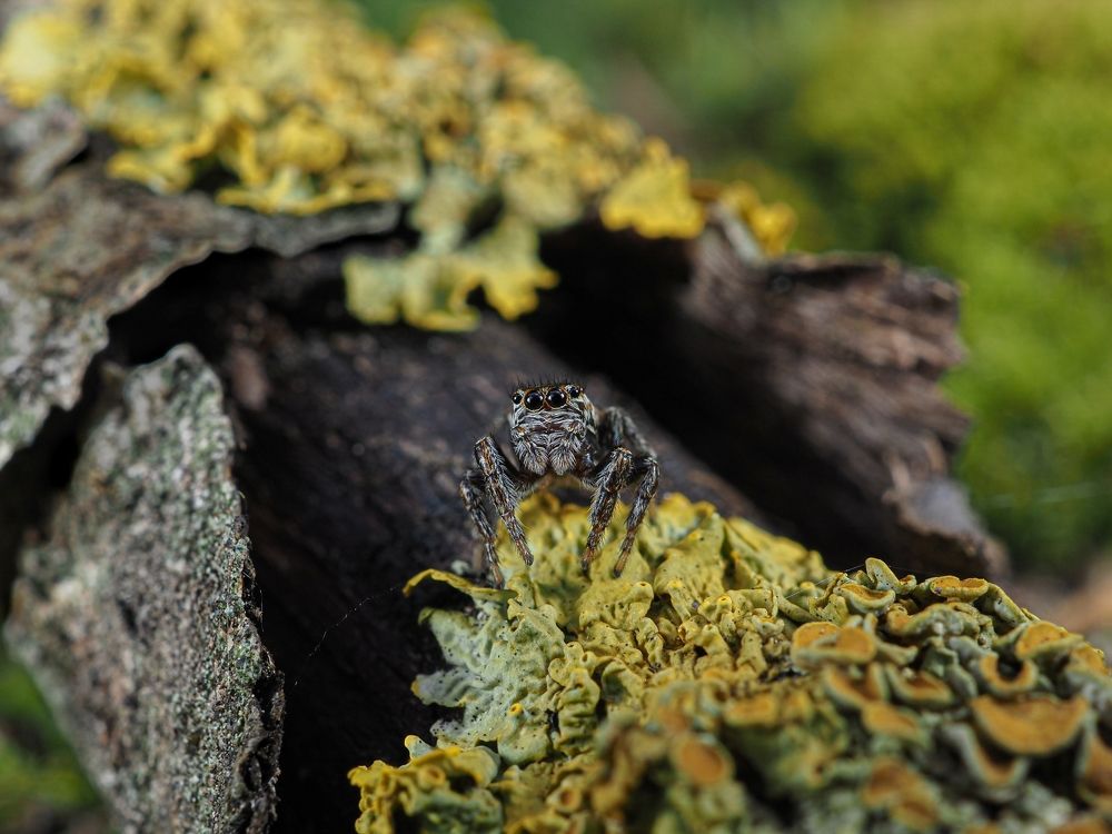 Photograph by Максим Кошелев