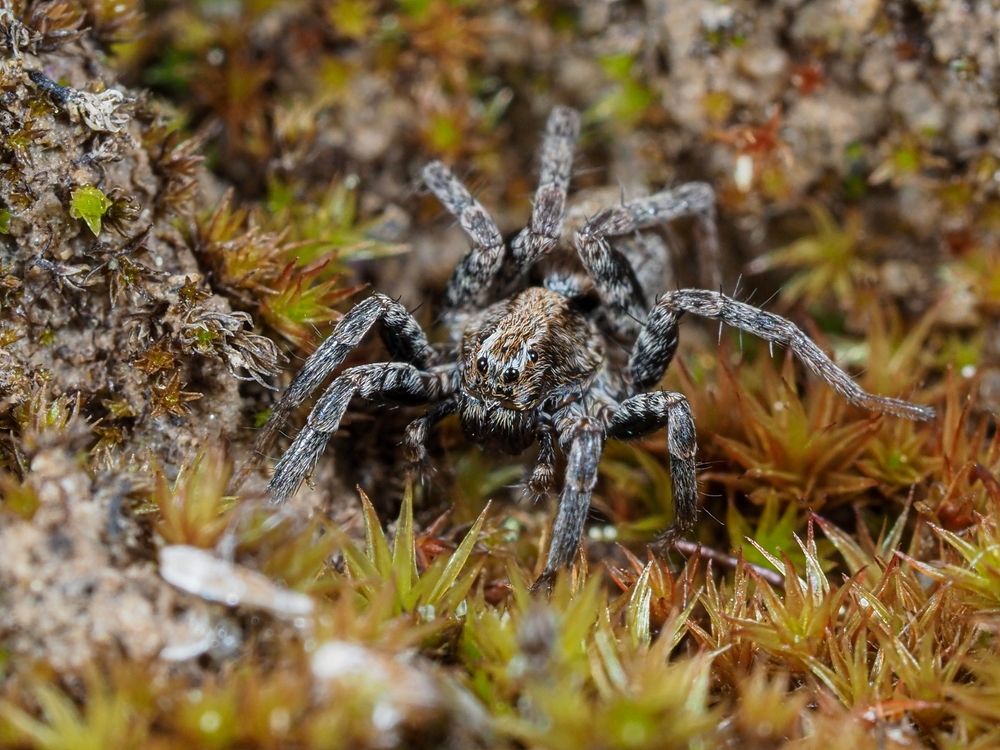 Photograph by Максим Кошелев