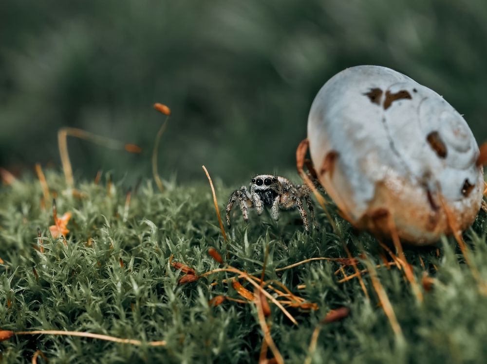 Photograph by Максим Кошелев