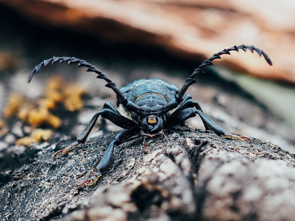 Photograph by Максим Кошелев