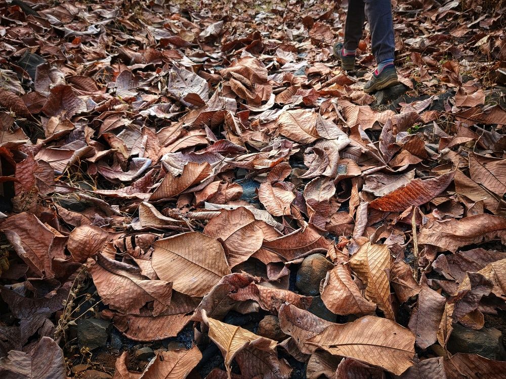 Photograph by VILANKAR VIRENDRA