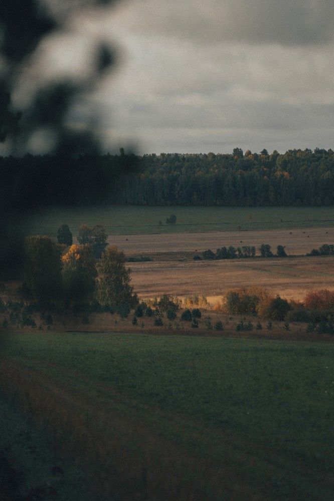 Photograph by Айдар Забиров