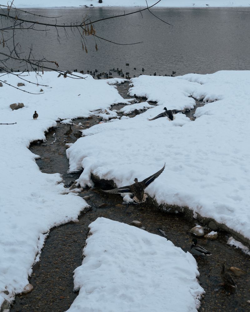 Фотография автора Кирилл Литовский