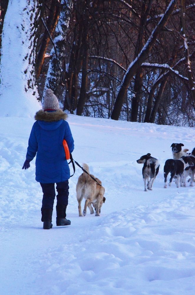 Photograph by Андрей Антипатров