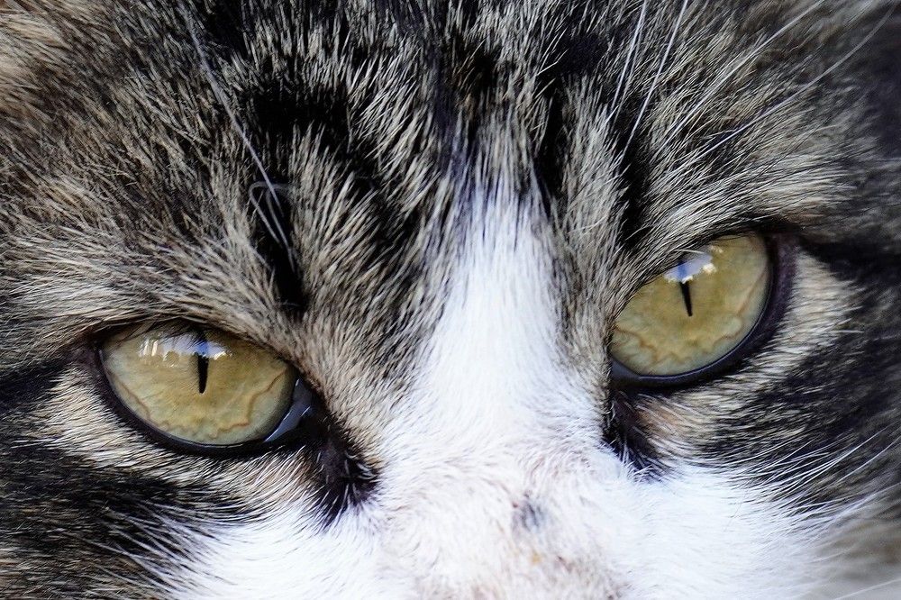 Photograph by Tamir Mor