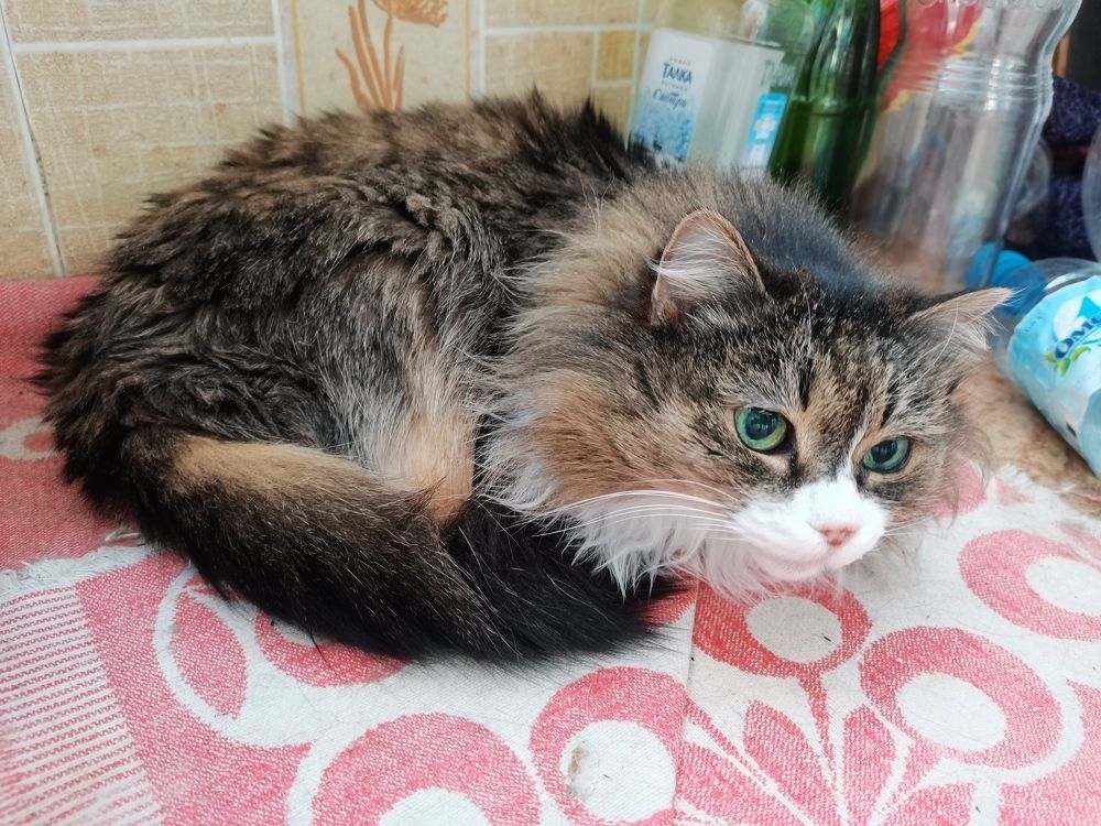 Photo #5857208