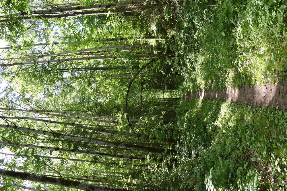 Photograph by Сергей Головин