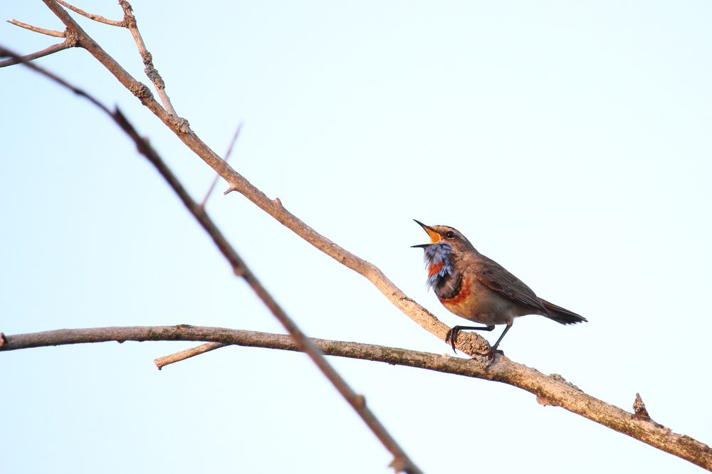 Фотография автора Дарья Шамакина