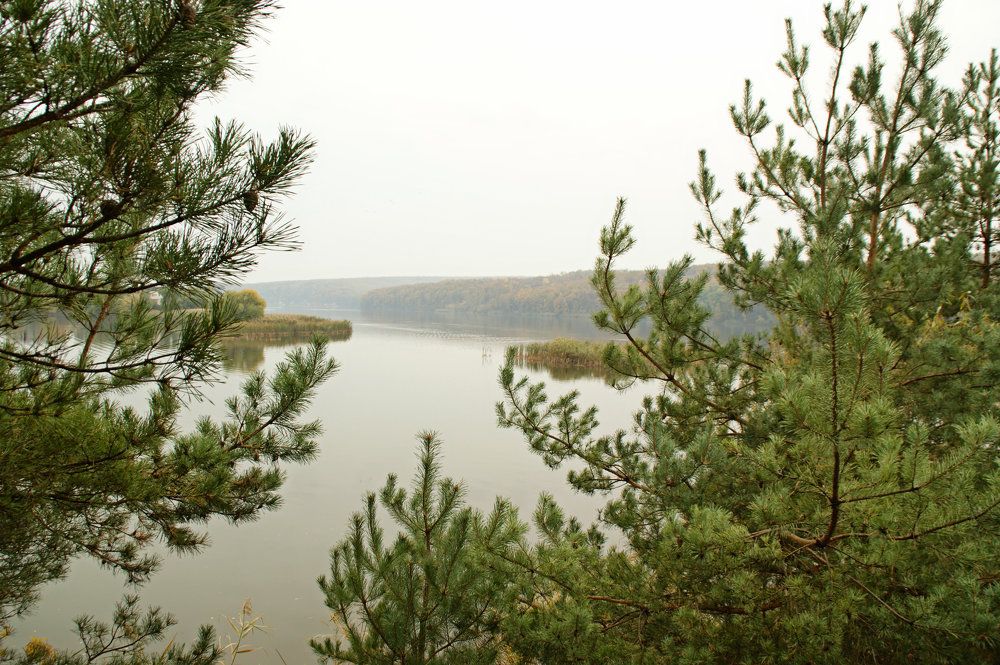 У подножья Северского донца.