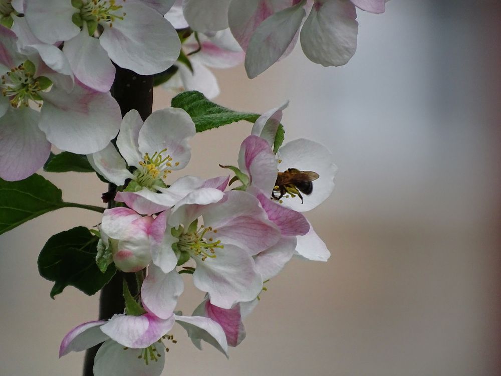 Photograph by Татьяна Ушакова
