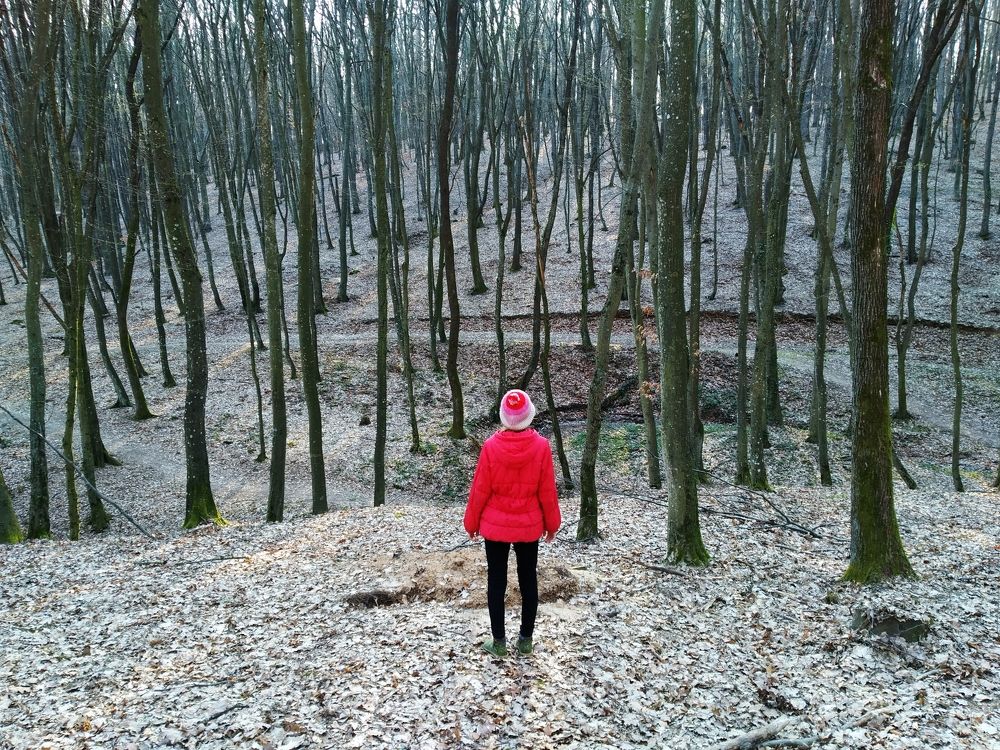 Photograph by Елена